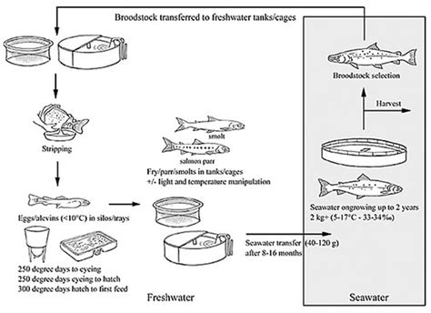 Sources, Quantities and Cultivation Methods — Seafish.